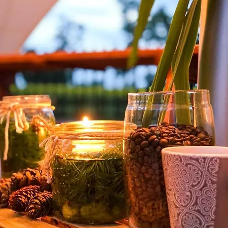 Bed & Breakfast Kompleks Dwor Gogolewo *