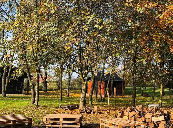 Dwor Gogolewo Nad Warta Bed & Breakfast *