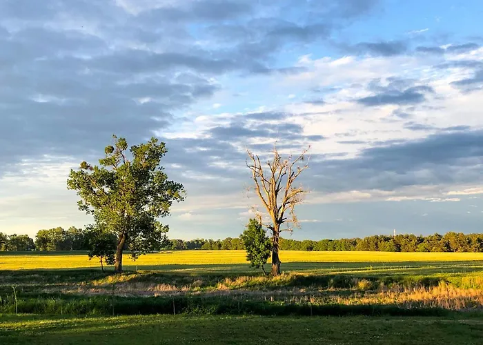 Dwor Gogolewo Nad Warta *