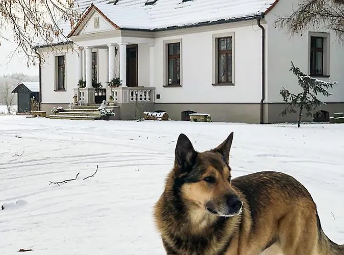 Dwor Gogolewo Nad Warta Bed & Breakfast *